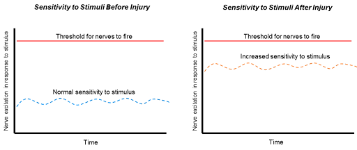 Pelvic Pain - Sensitivity stimuli before and after injury